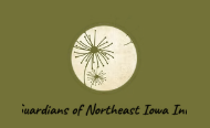 Guardians of NE Iowa